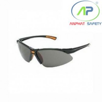 Kính BHLĐ King's 312