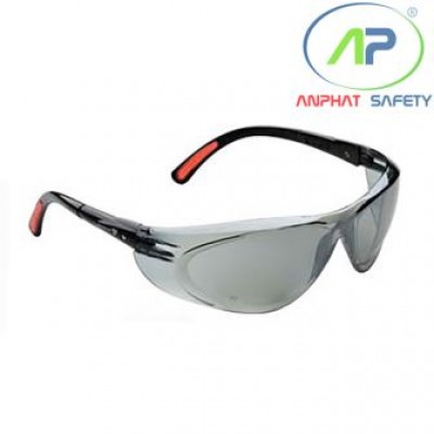 Kính bảo hộ Protector S99 ICON